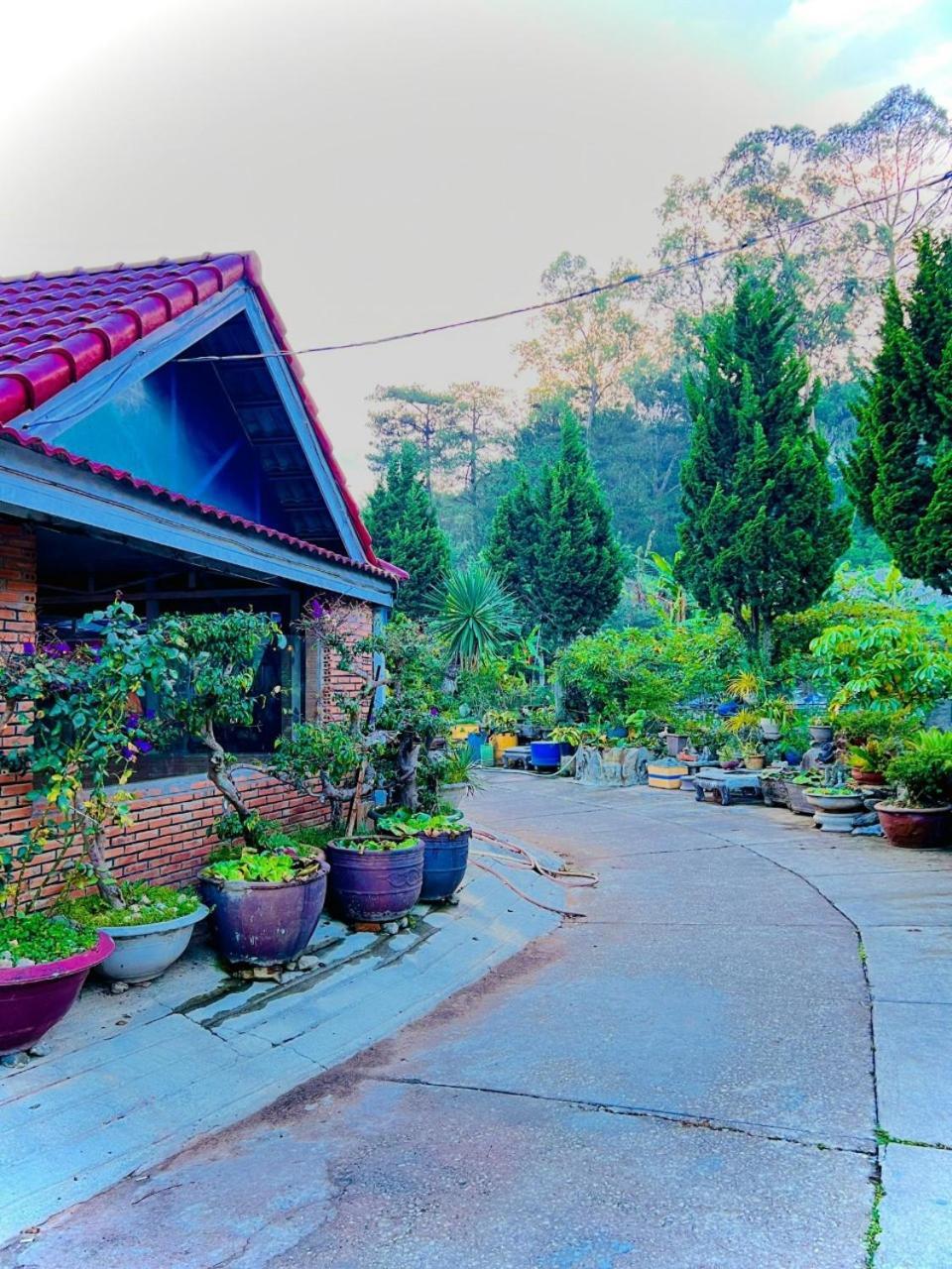 Hoa Chuong - Villa - Homestay Da Lat Exterior foto